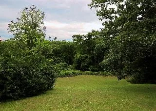 Best Western Branson Inn and Conference Center — 4D/3N Branson, MO