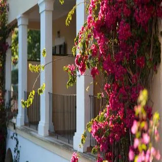 Hotel Bahia — 5D/4N Majorca
