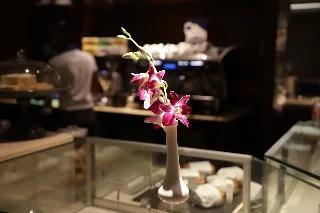 Majestic City Retreat Hotel — 5D/4N Dubai
